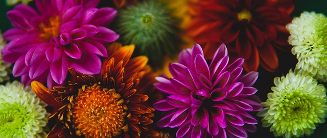 特拉布宗体育主席：奥纳纳薪水很高，我们无法提供